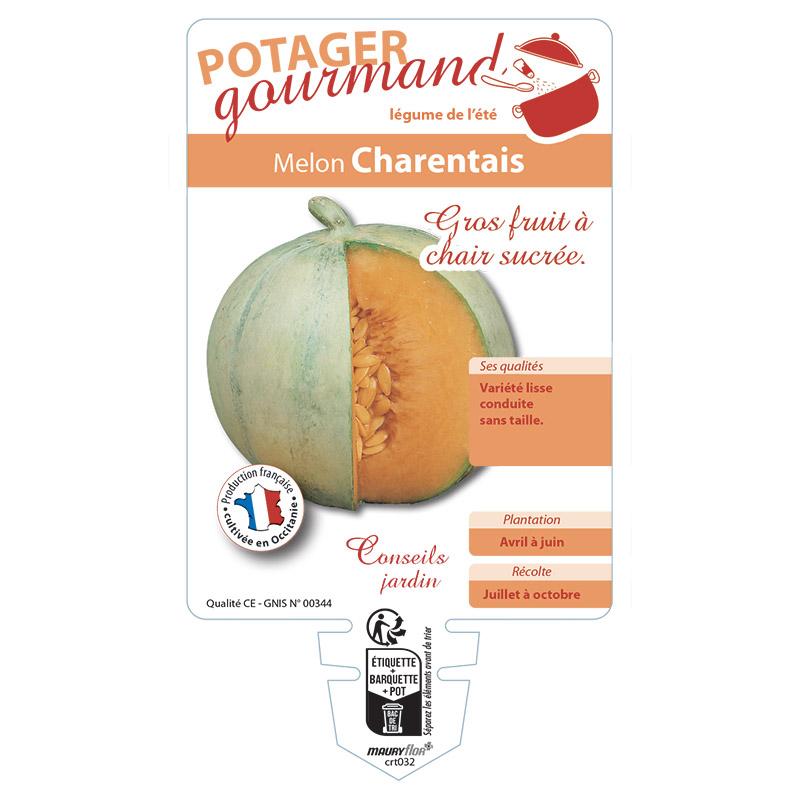 MELON CHARENTAIS