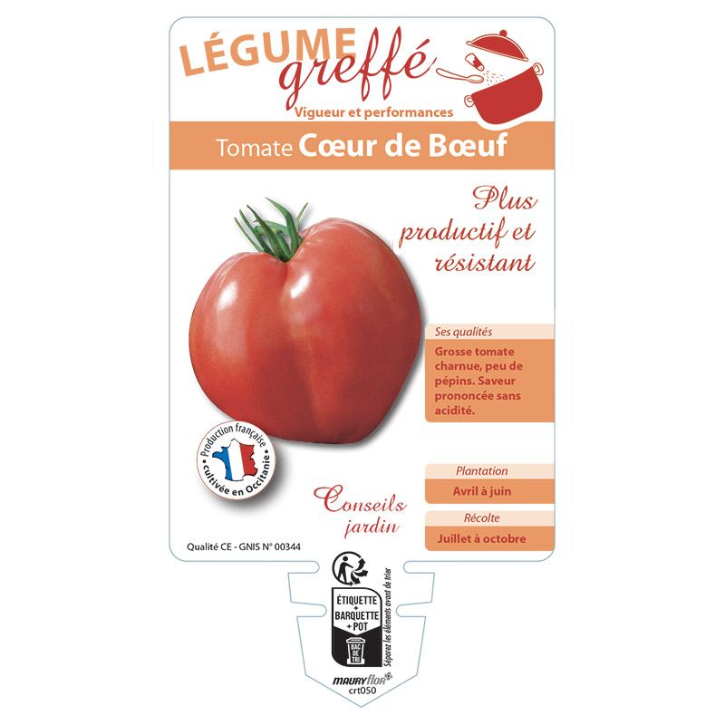 TOMATE CŒUR DE BŒUF GREFFÉE
