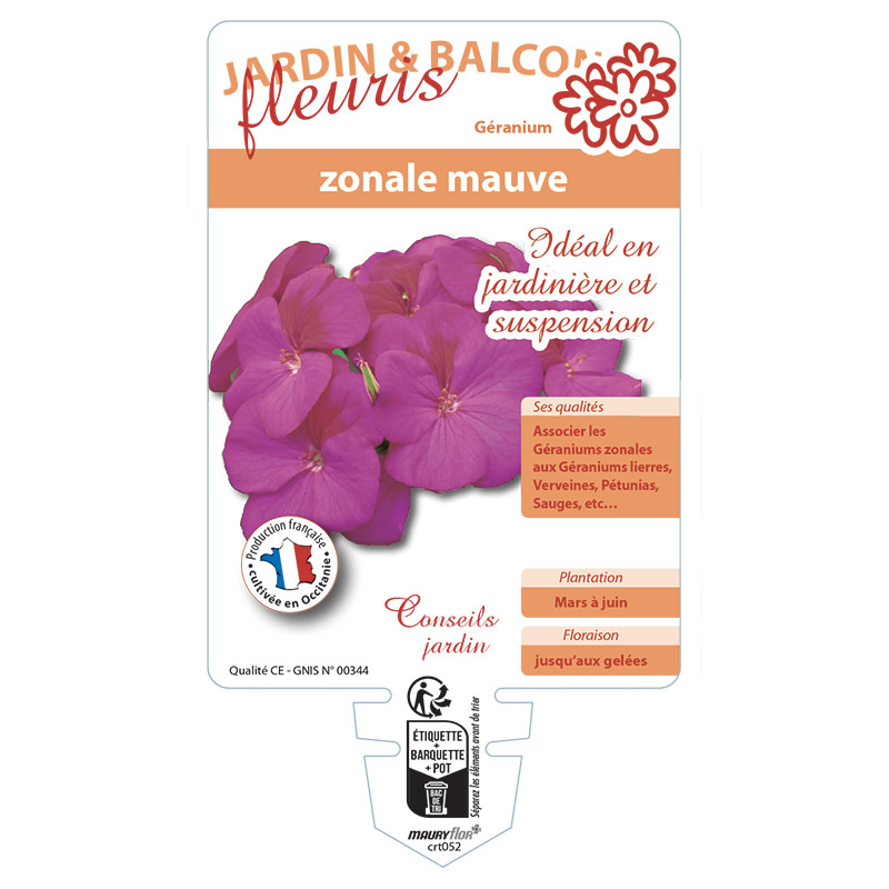 GERANIUM ZONALE MAUVE