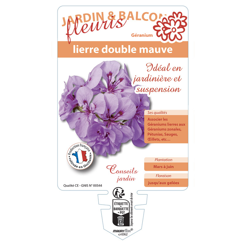 GERANIUM LIERRE DOUBLE MAUVE