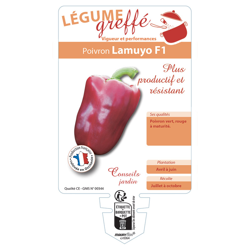 POIVRON LAMUYO F1 GREFFÉ