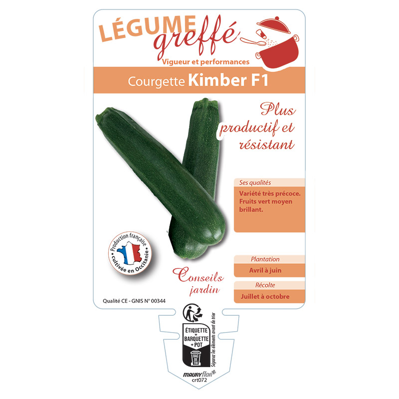 COURGETTE KIMBER GREFFÉE