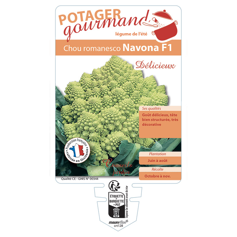 CHOU ROMANESCO NAVONA