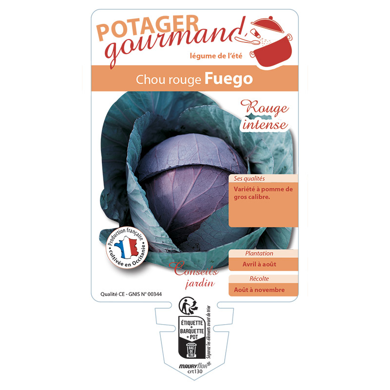 CHOU ROUGE FUEGO