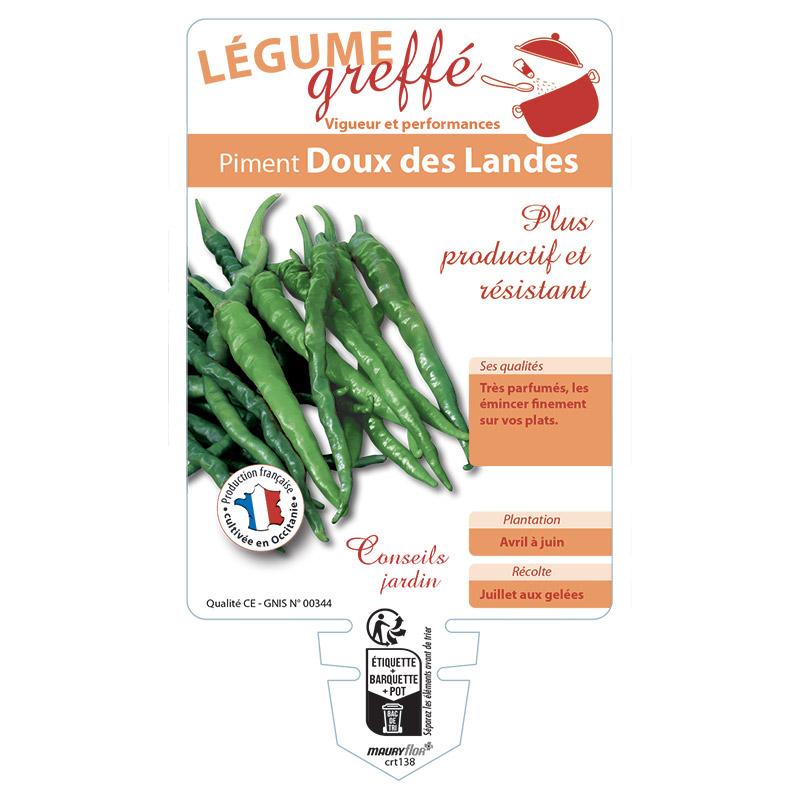 PIMENT DOUX DES LANDES GREFFÉ