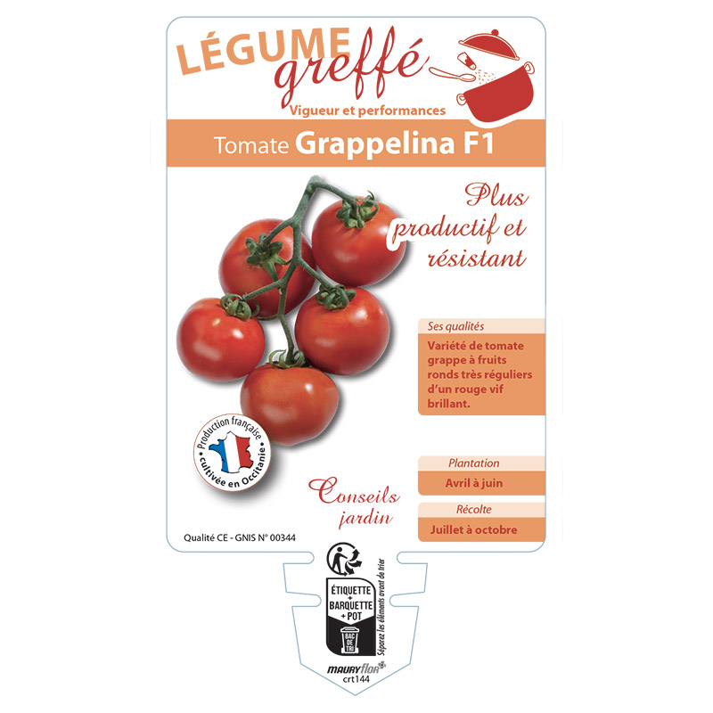 TOMATE GRAPPELINA GREFFÉE