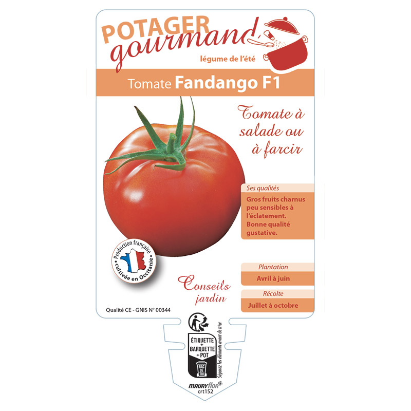 TOMATE FANDANGO