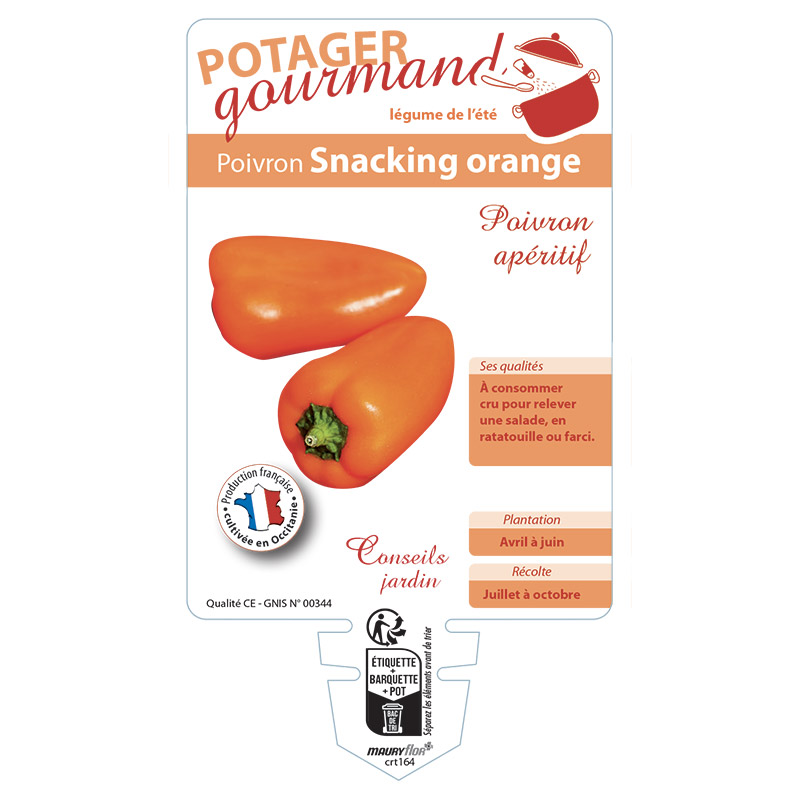 POIVRON SNACKING ORANGE
