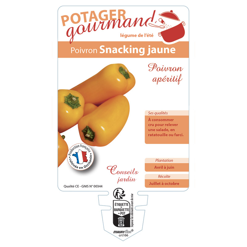 POIVRON SNACKING JAUNE