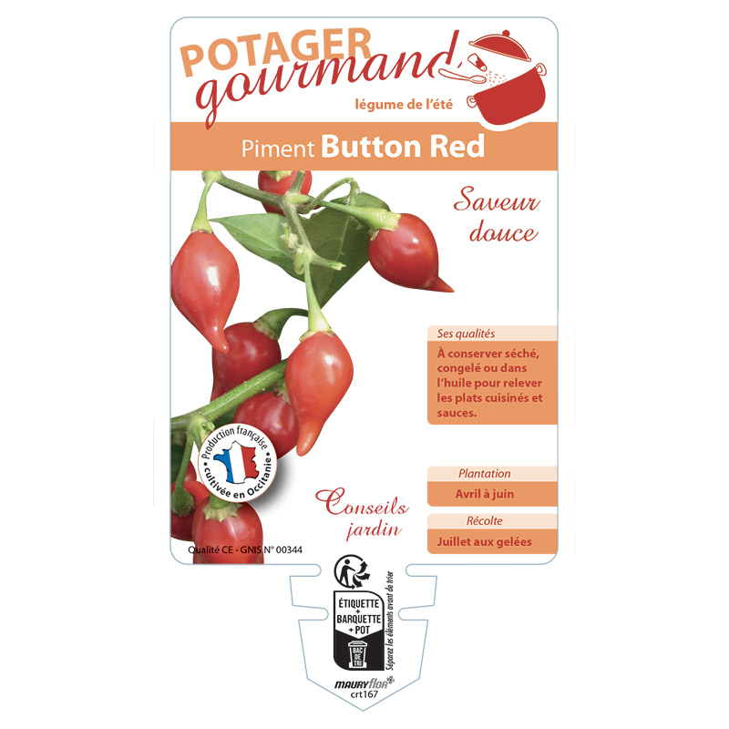 PIMENT BUTTON RED