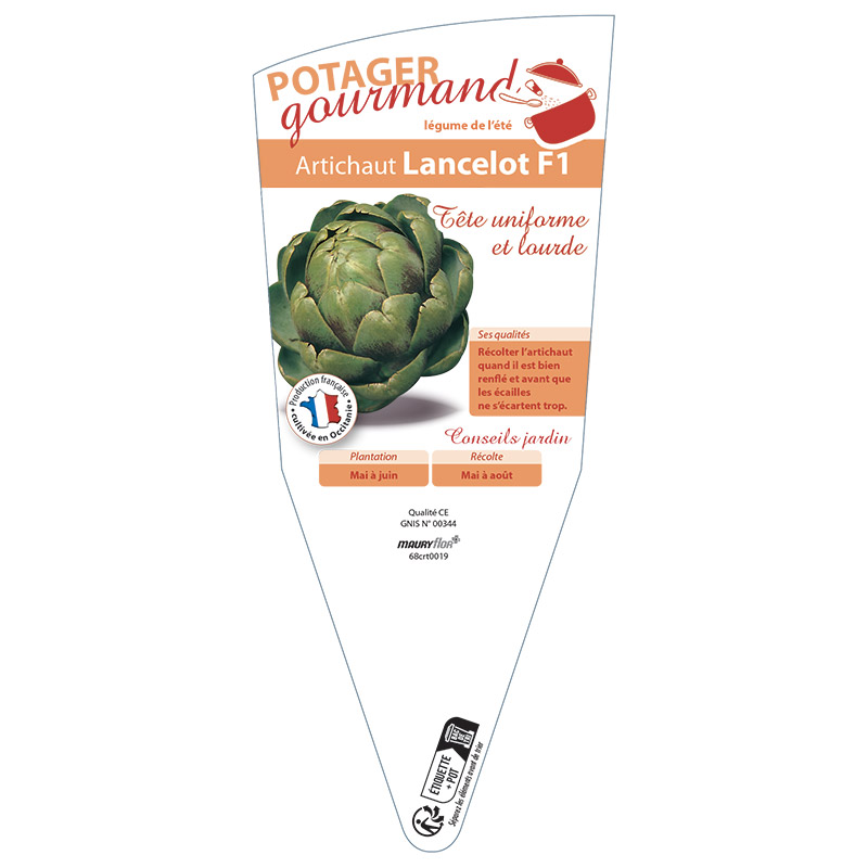ARTICHAUT LANCELOT