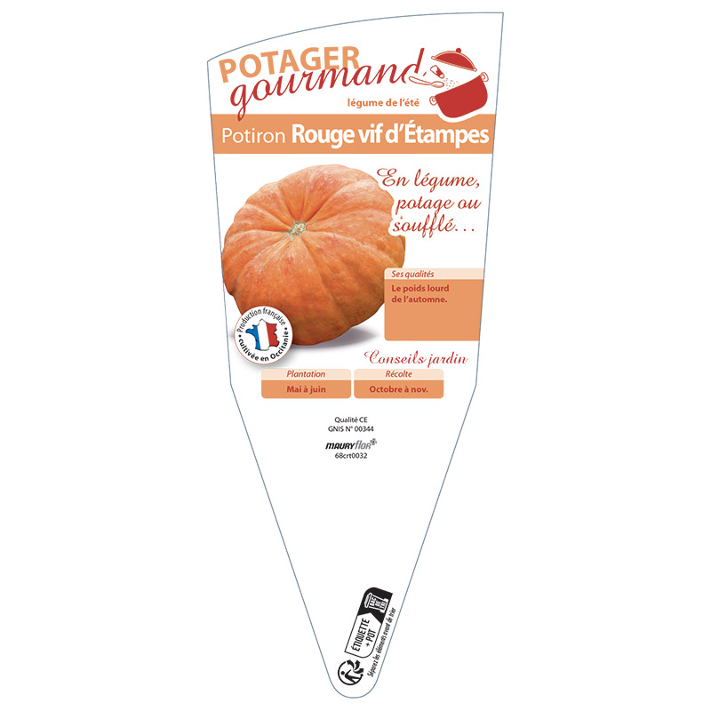 POTIRON ROUGE VIF D'ETAMPES