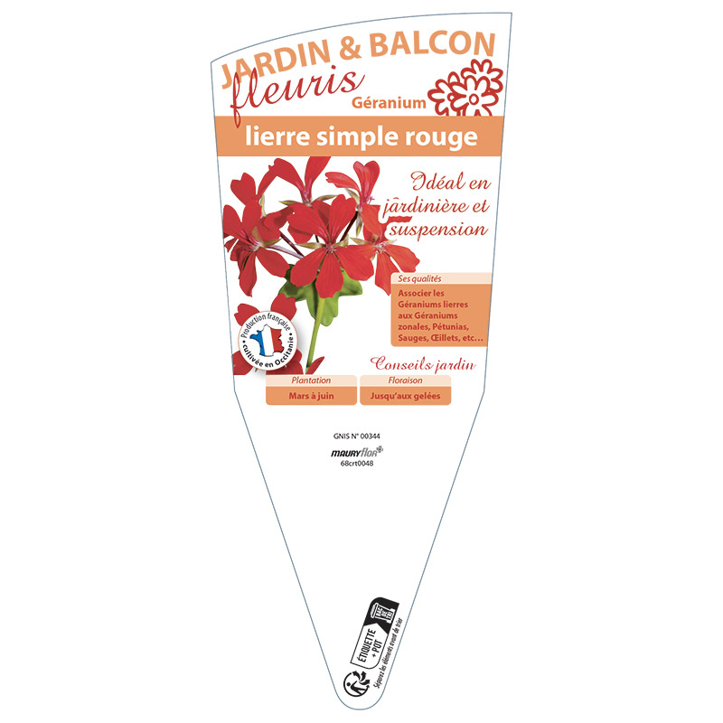 GERANIUM LIERRE SIMPLE ROUGE