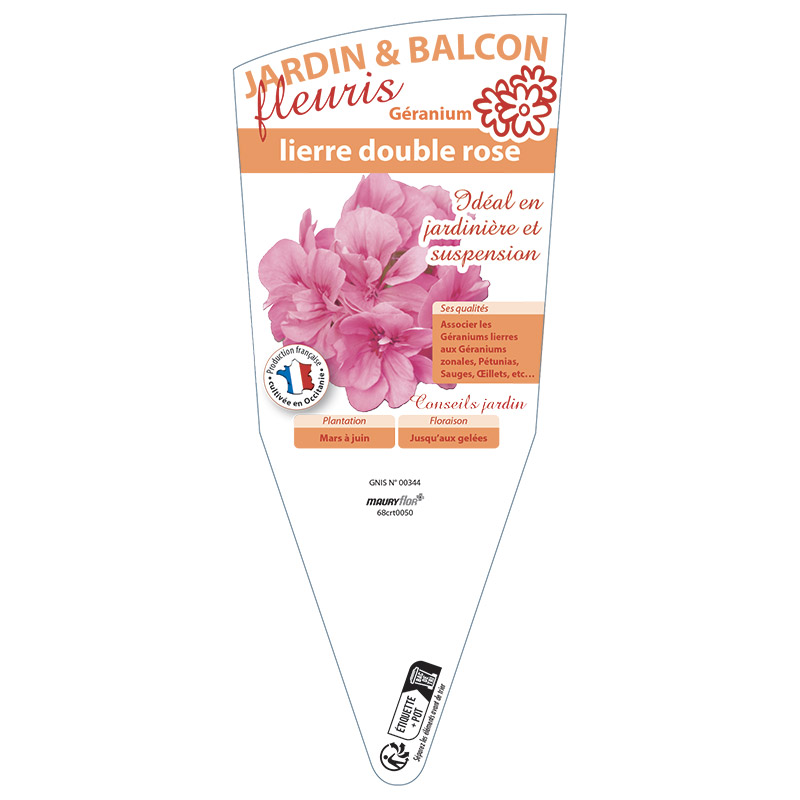 GERANIUM LIERRE DOUBLE ROSE