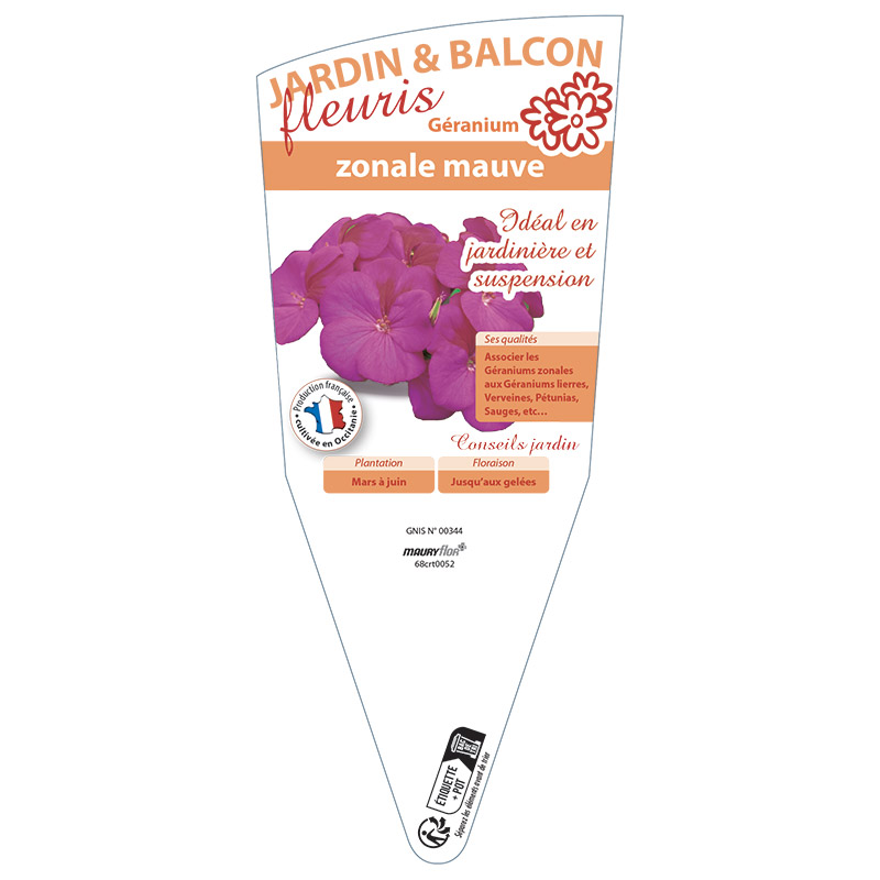 GÉRANIUM ZONALE MAUVE