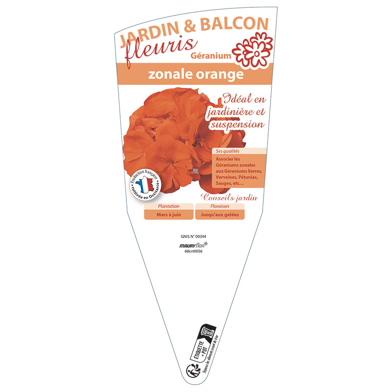 GÉRANIUM ZONALE ORANGE