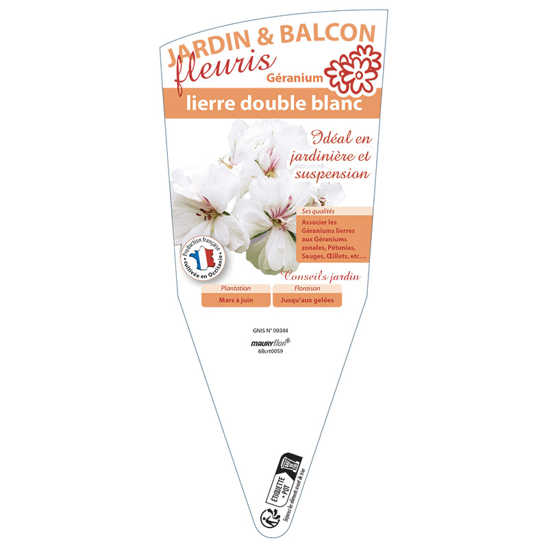 GÉRANIUM LIERRE DOUBLE BLANC
