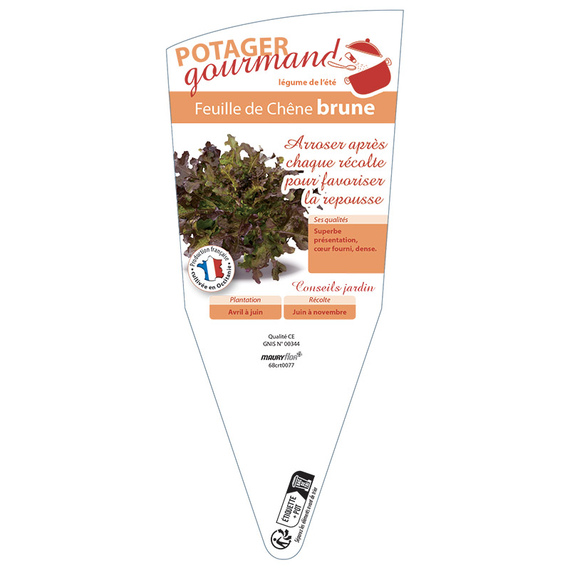 FEUILLE DE CHENE BRUNE