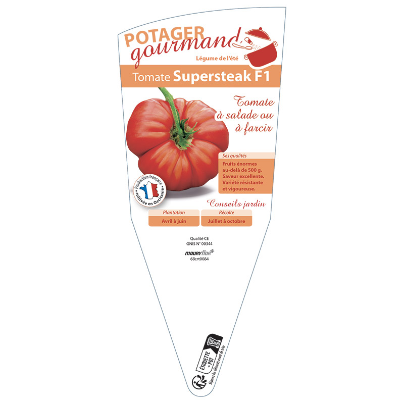 TOMATE SUPERSTEACK