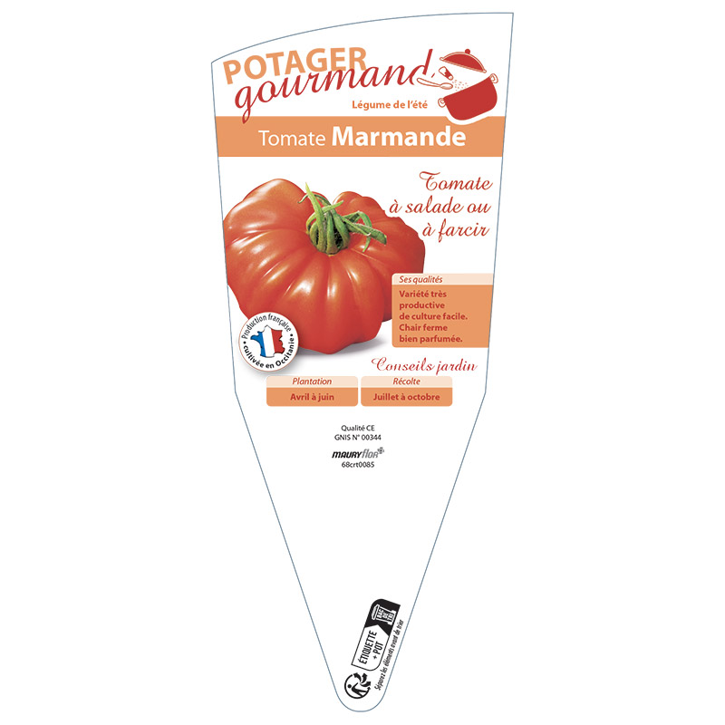TOMATE MARMANDE