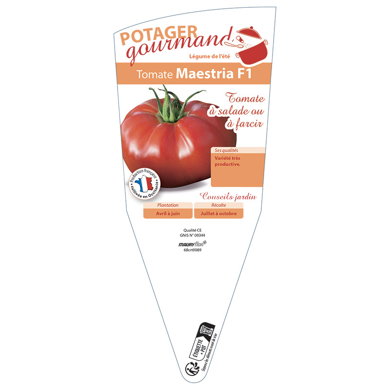 TOMATE MAESTRIA