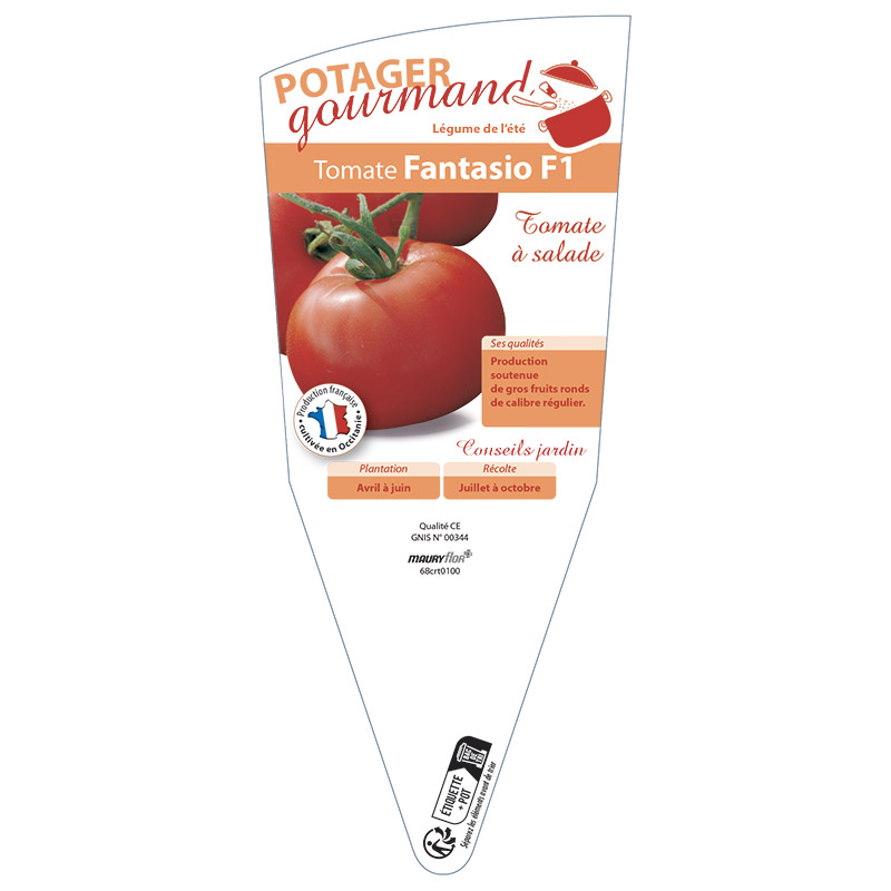 TOMATE FANTASIO