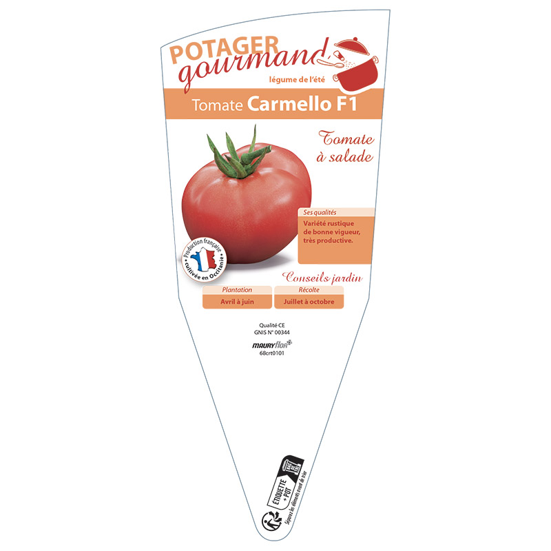 TOMATE CARMELLO