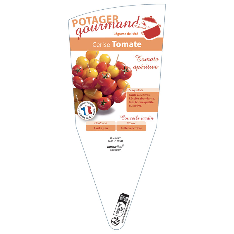 TOMATE CERISE (ROUGE ET JAUNE)