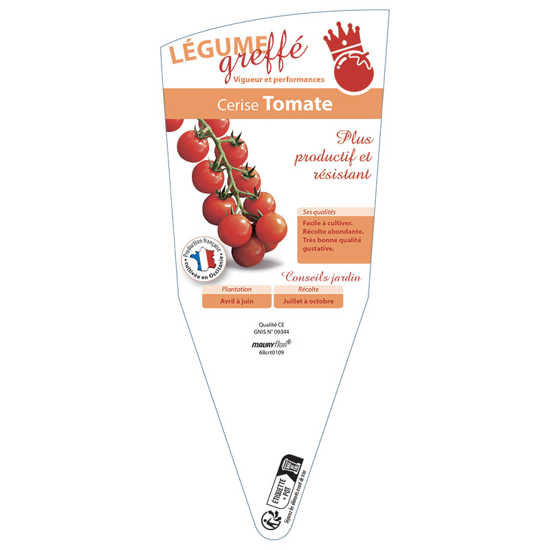 TOMATE CERISE GREFFÉE