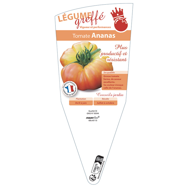 TOMATE ANANAS GREFFÉE