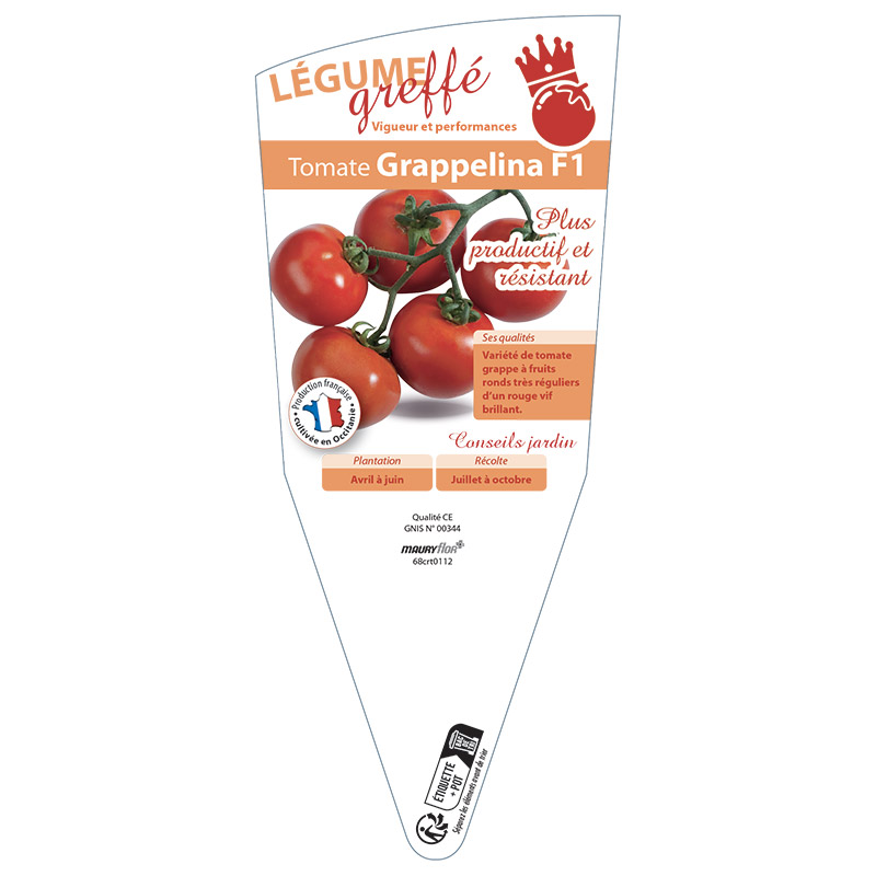 TOMATE GRAPPELLINA GREFFÉE