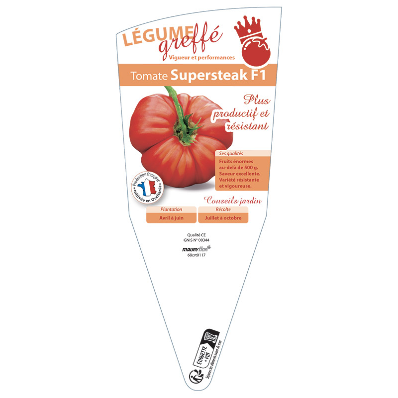 TOMATE SUPERSTEACK GREFFÉE