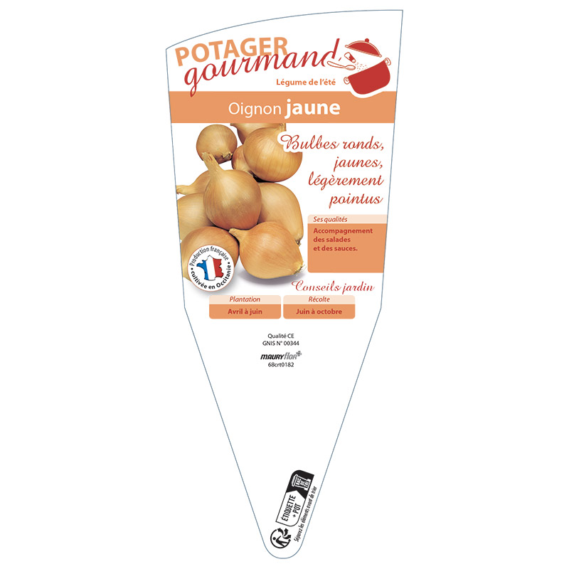OIGNON JAUNE