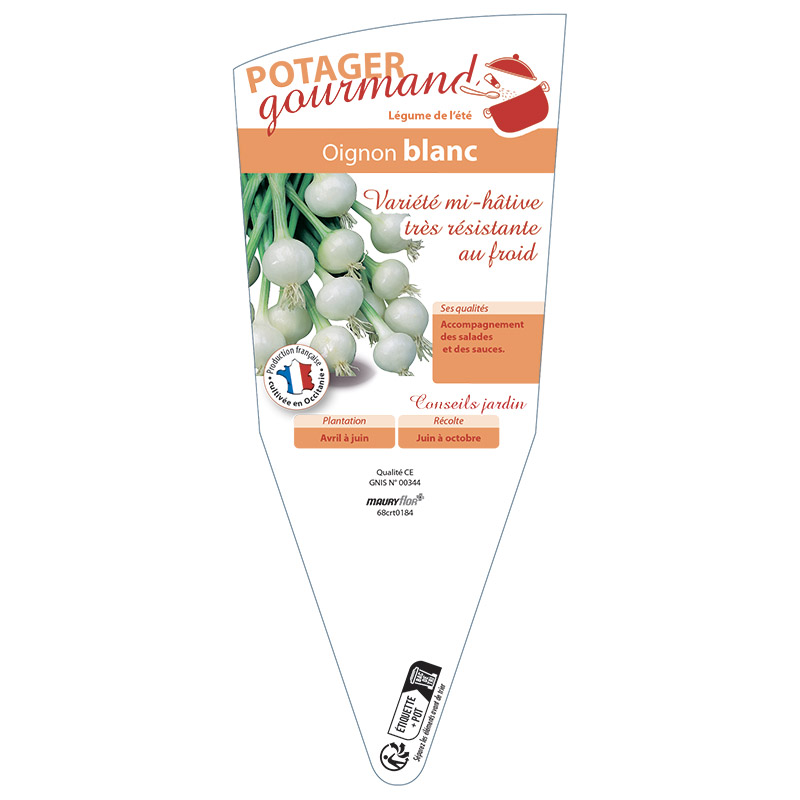 OIGNON BLANC