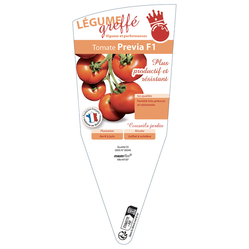 TOMATE PREVIA F1