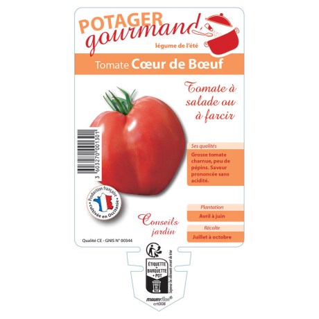 TOMATE CŒUR DE BŒUF