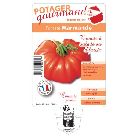 TOMATE MARMANDE