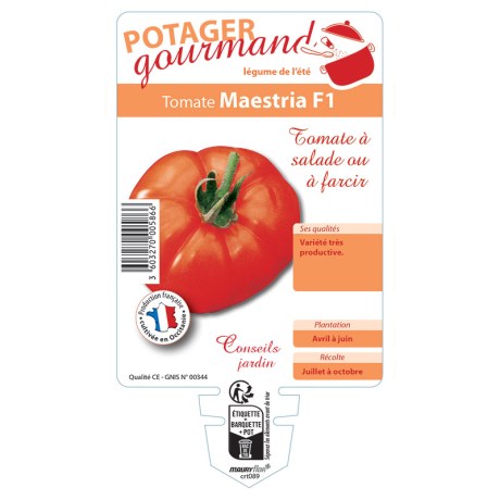TOMATE MAESTRIA F1