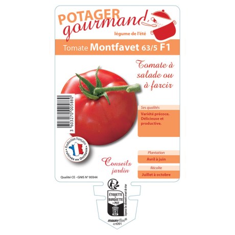 TOMATE MONTFAVET
