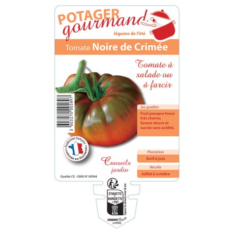TOMATE NOIRE DE CRIMEE