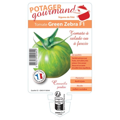 TOMATE GREEN ZEBRA