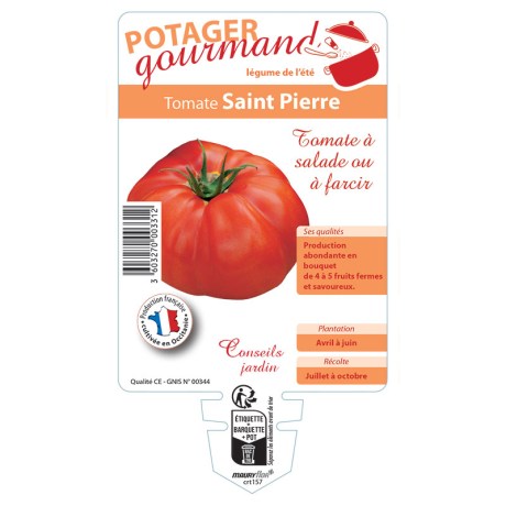 TOMATE SAINT PIERRE