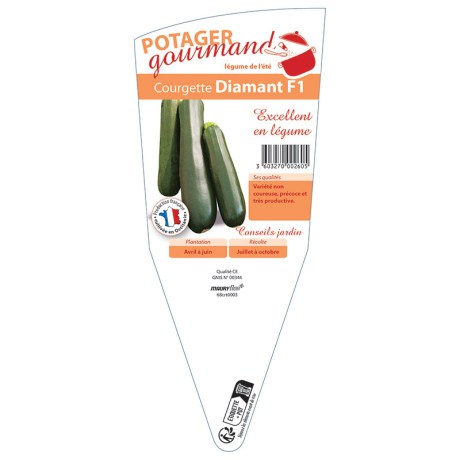 COURGETTE DIAMANT