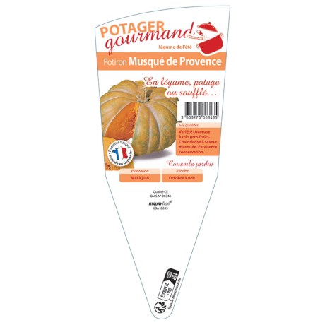 POTIRON MUSQUÉE DE PROVENCE