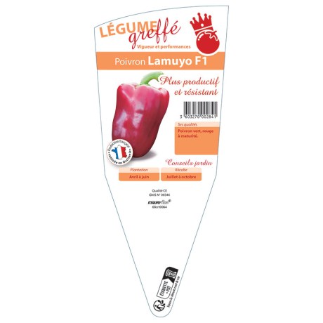 POIVRON LAMUYO GREFFÉ