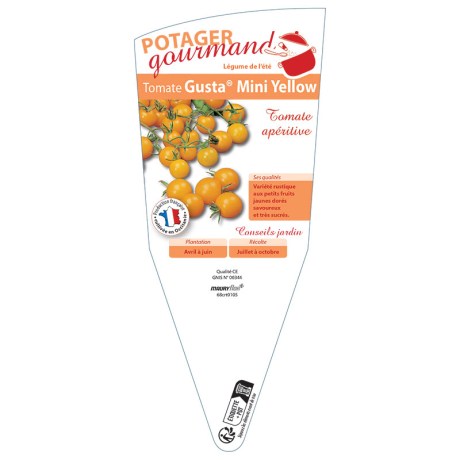 TOMATE Gusta® Mini Yellow