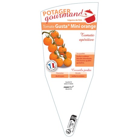 TOMATE cerise Gusta® Mini orange
